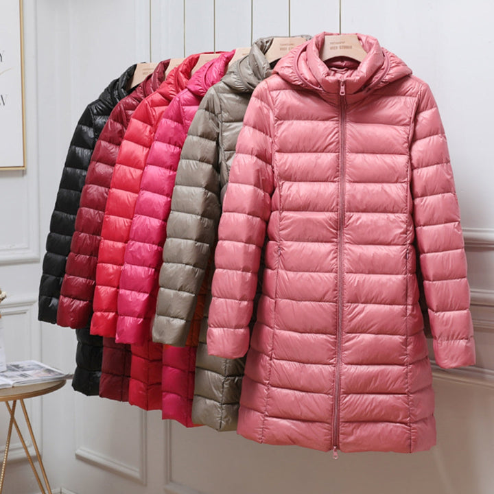 Tarin | Stylish Elegance Jacket